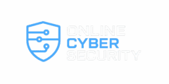 Online cyber security